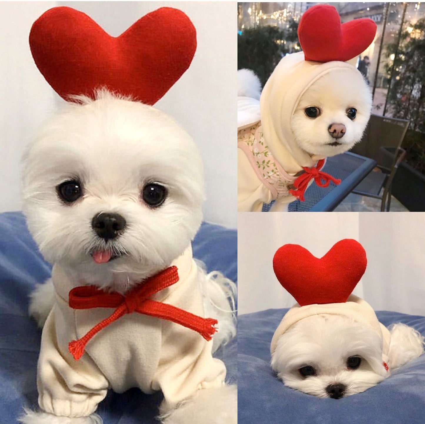 Cute Fruit Dog Hoodie – Winter Warm Fleece Pet Clothes for Small Dogs, Puppies & Cats