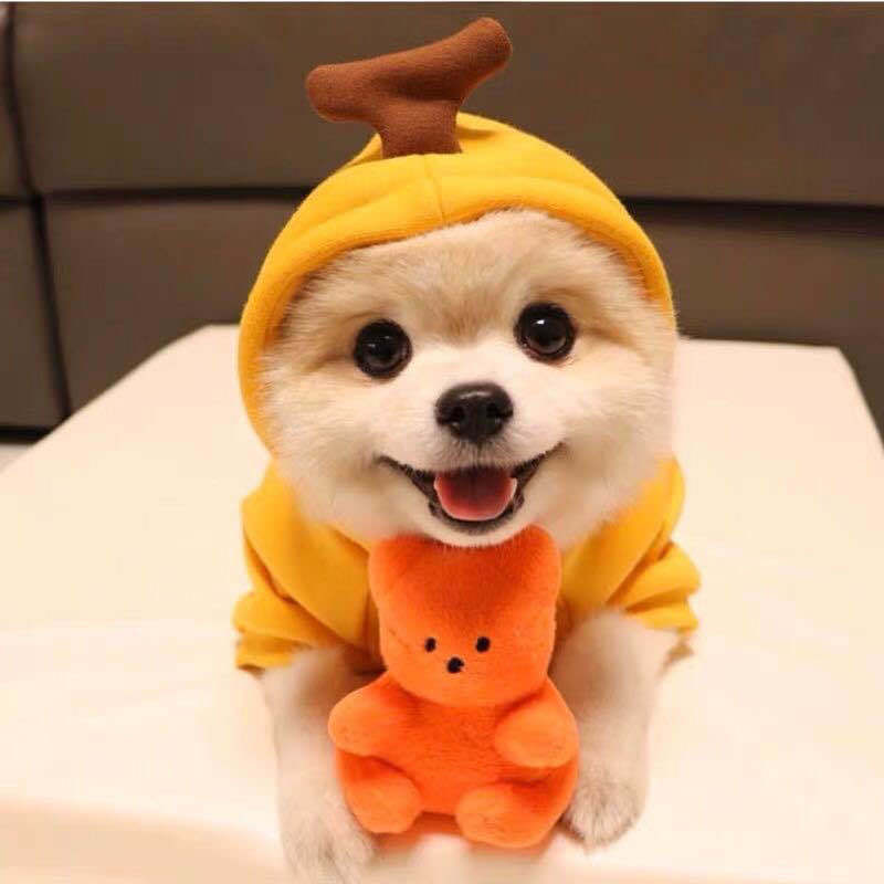 Cute Fruit Dog Hoodie – Winter Warm Fleece Pet Clothes for Small Dogs, Puppies & Cats