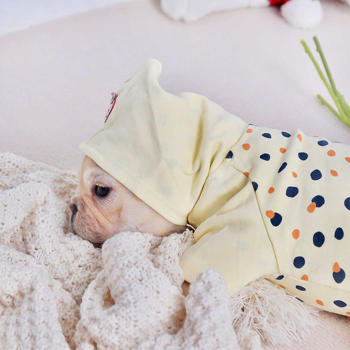 Thickened Hoodie for Small Dogs – Warm Winter Pet Clothes for Puppies & Cats