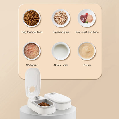 Automatic Pet Feeder Smart Food Dispenser with Timer & Stainless Steel Bowl – Auto Cat & Dog Feeding Supplies